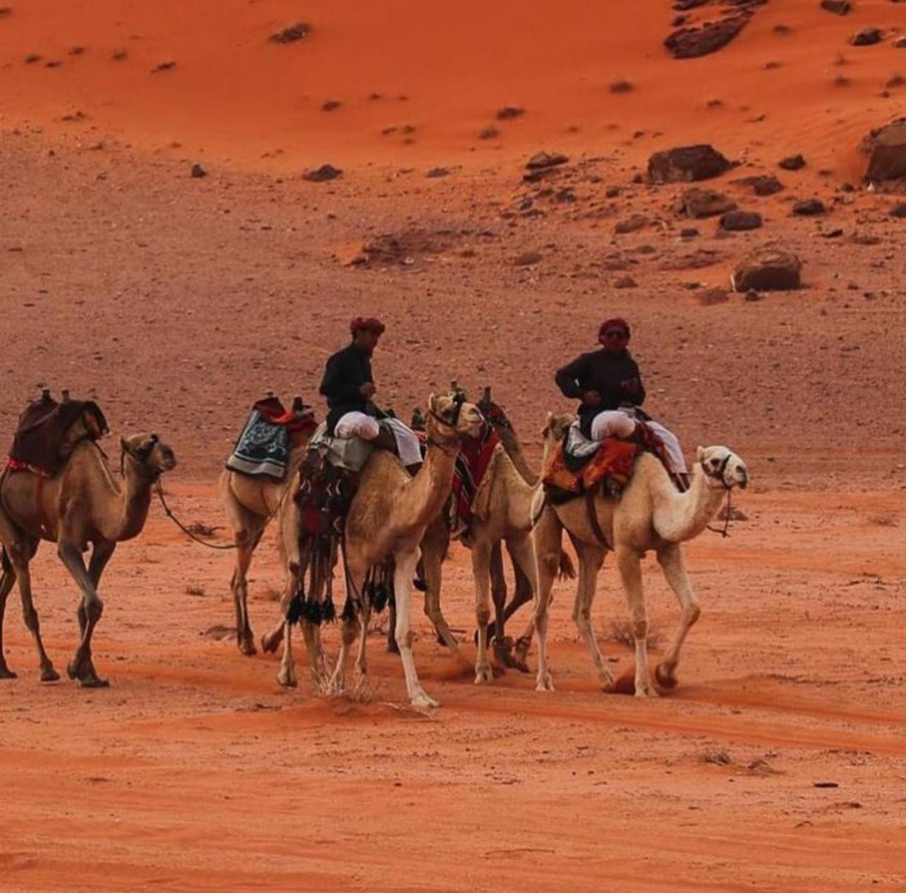 Hotel Bedouin Bunch Camp Wadi Rum Zewnętrze zdjęcie