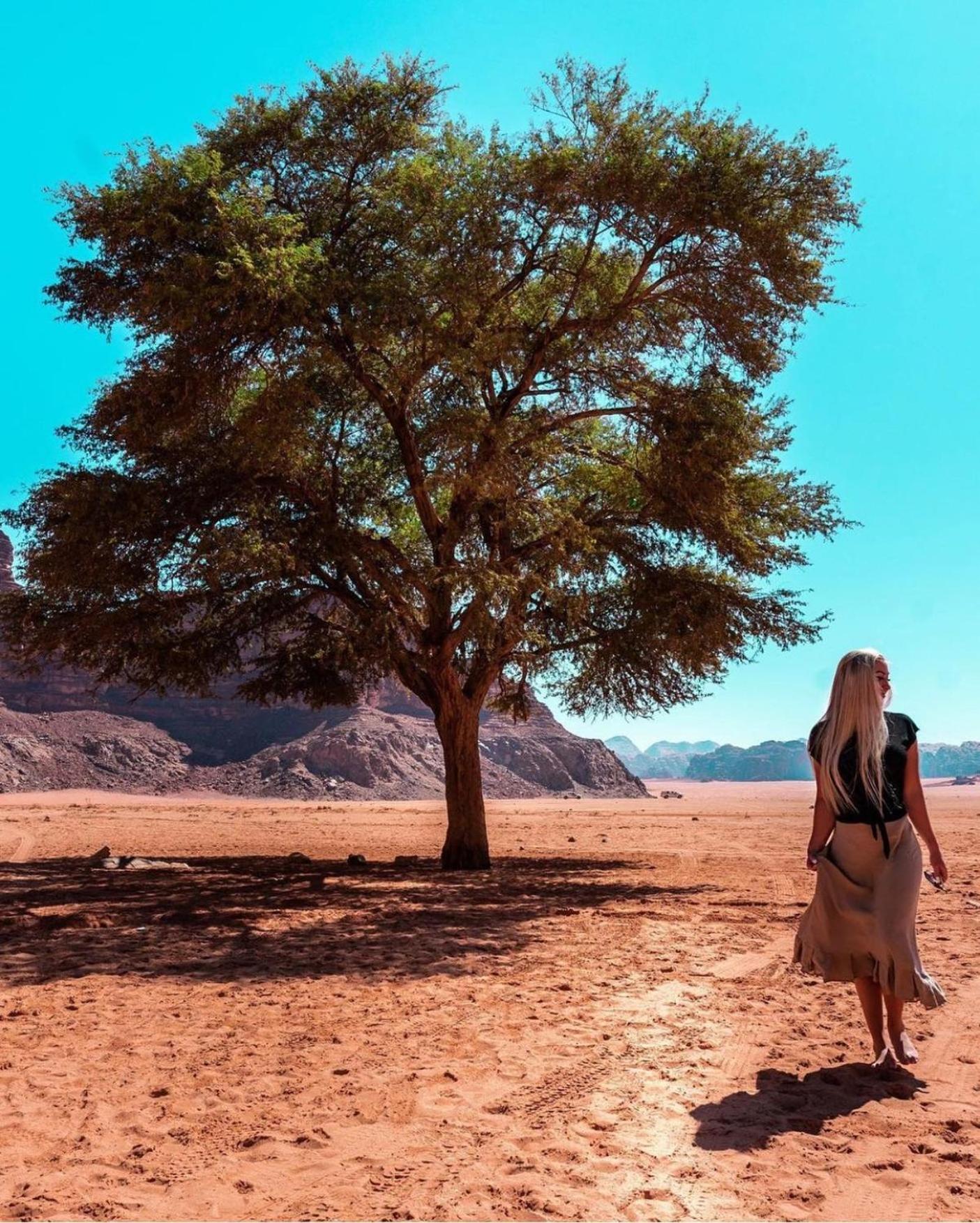 Hotel Bedouin Bunch Camp Wadi Rum Zewnętrze zdjęcie